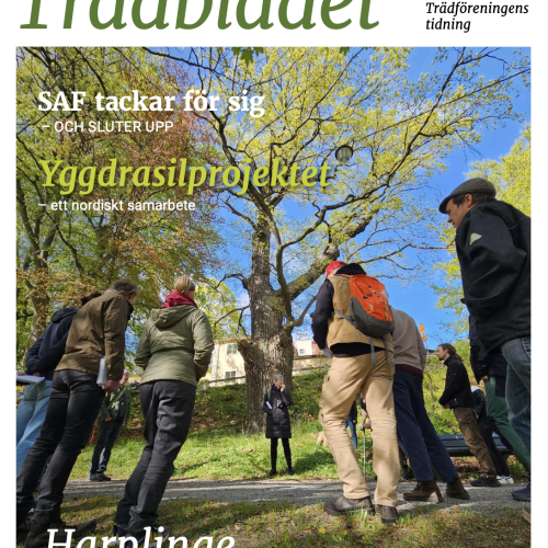 Trädbladet 2025 nr1