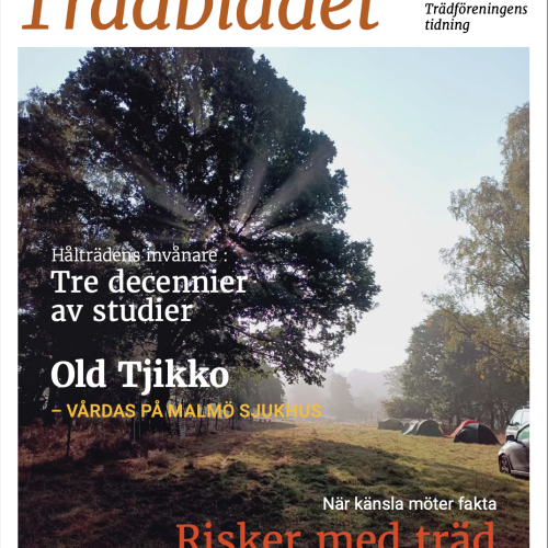 Trädbladet 2025 nr2