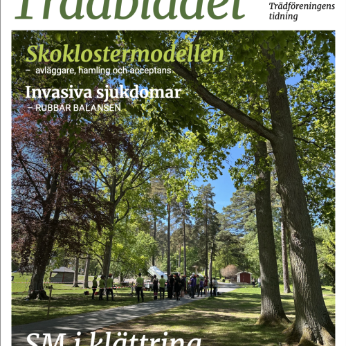Trädbladet 2026 nr1